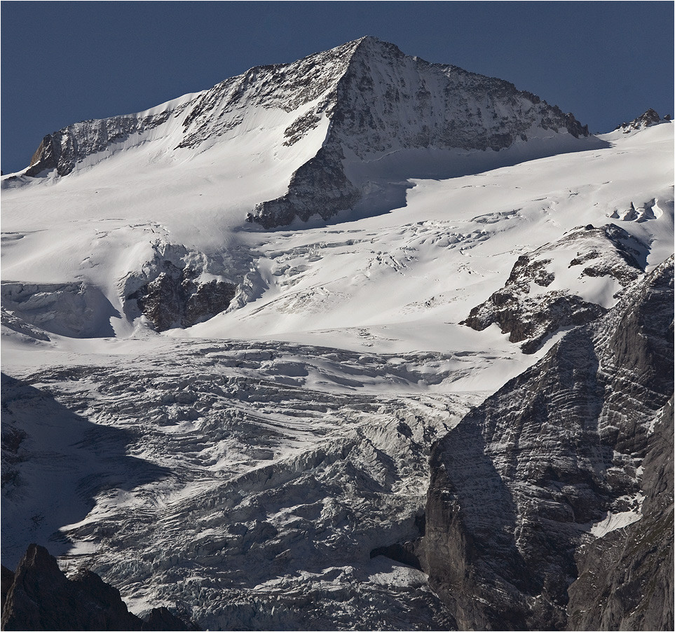 ROSENLAUIGLETSCHER (BE)