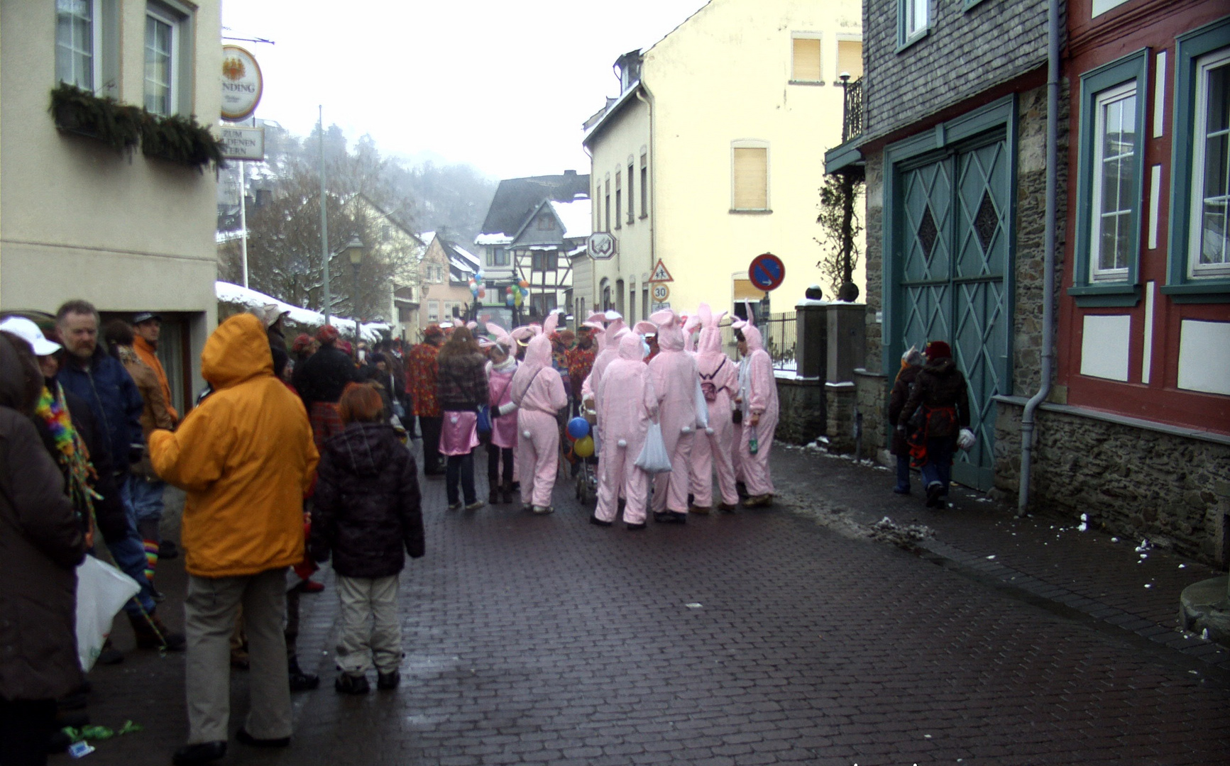 Rosenmontag 2010 (2)