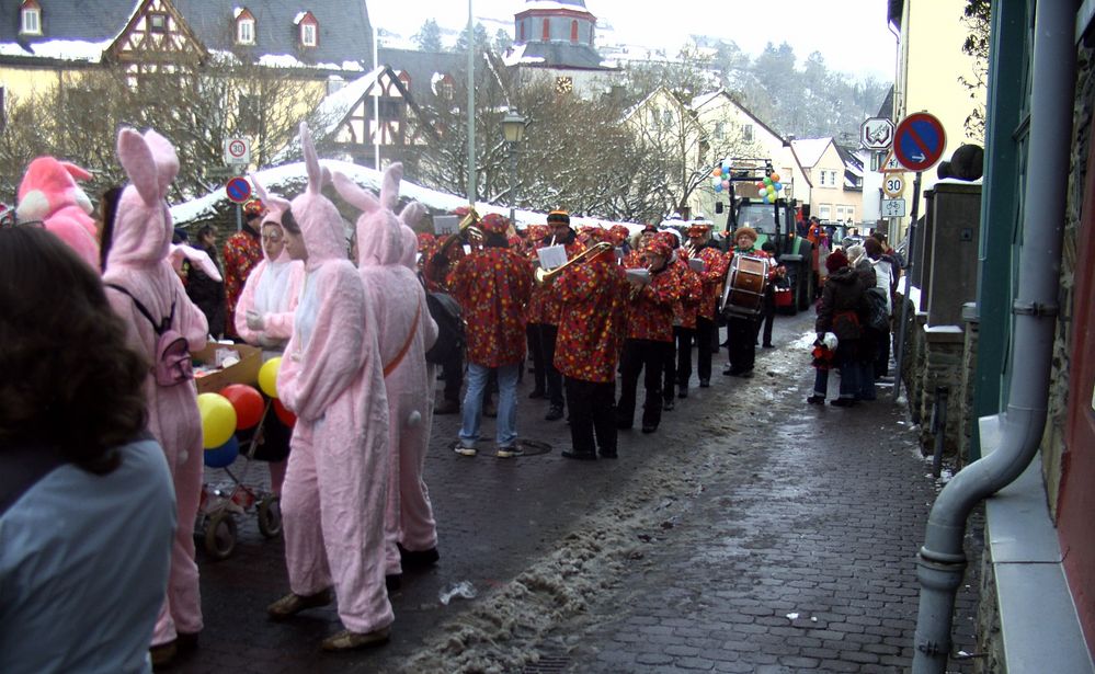 Rosenmontag 2010 (3)