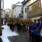 Rosenmontag 2010 (5)