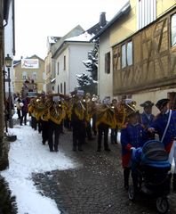 Rosenmontag 2010 (5)