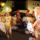 Rosenmontag 2013