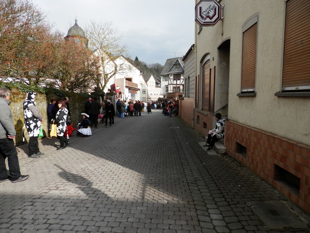 Rosenmontag 2014 in Runkel (2)