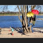 Rosenmontag am Rhein -I-