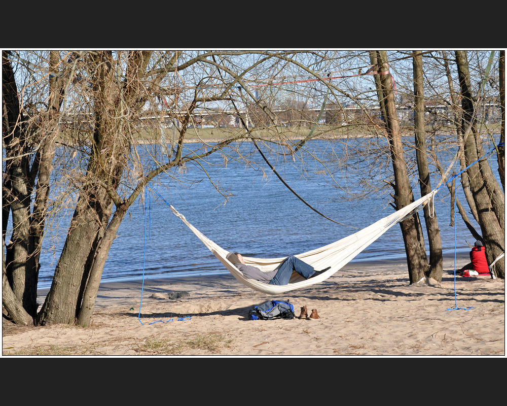 Rosenmontag am Rhein -III-