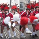 Rosenmontag HALLE/S 2013 (3D-Foto Nr. 05X)