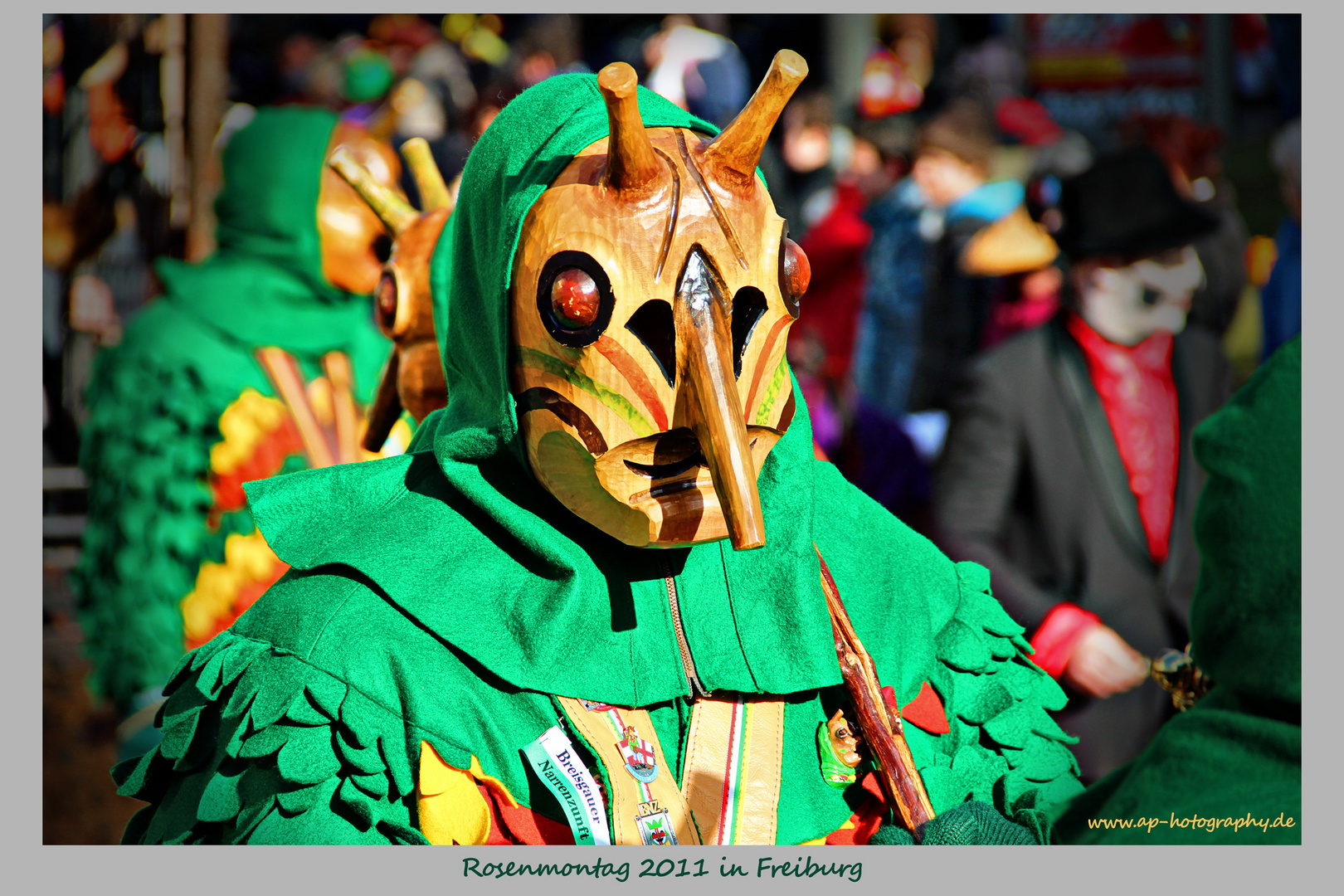 Rosenmontag in Freiburg 2012 - 2