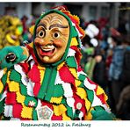 Rosenmontag in Freiburg 2012 - 3