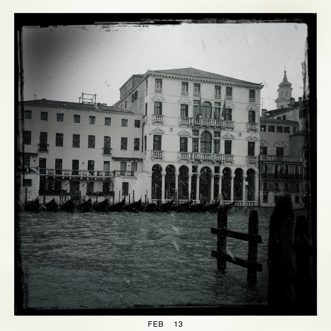 Rosenmontag in Venedig #1