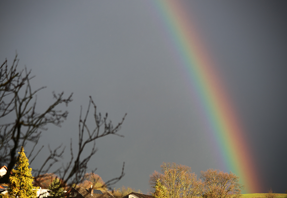 Rosenmontag mit Rudzica um 17:29 Uhr