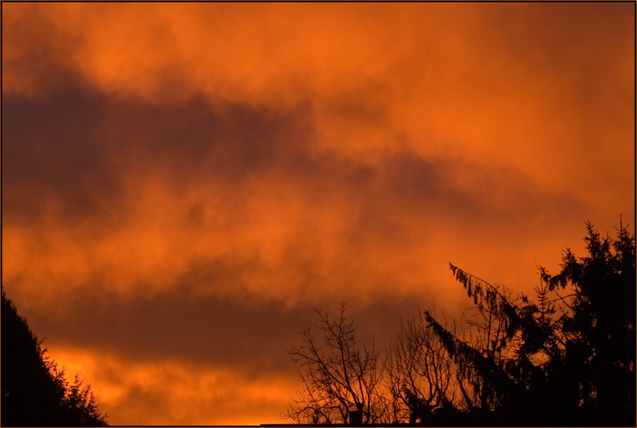 Rosenmontag-Morgenrot