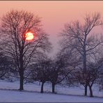 Rosenmontag - rosa Montag