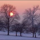 Rosenmontag - rosa Montag