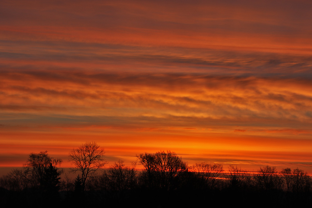 Rosenmontags-Morgen