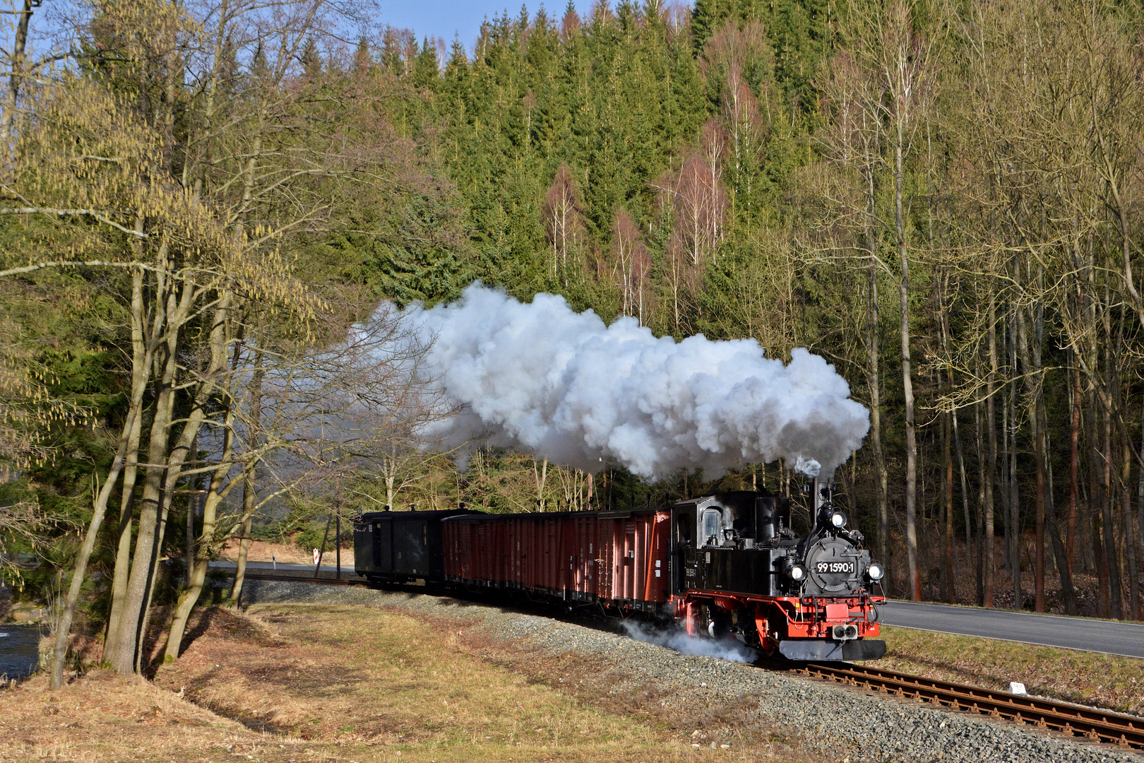 Rosenmontags(um)züge im Preßnitztal III