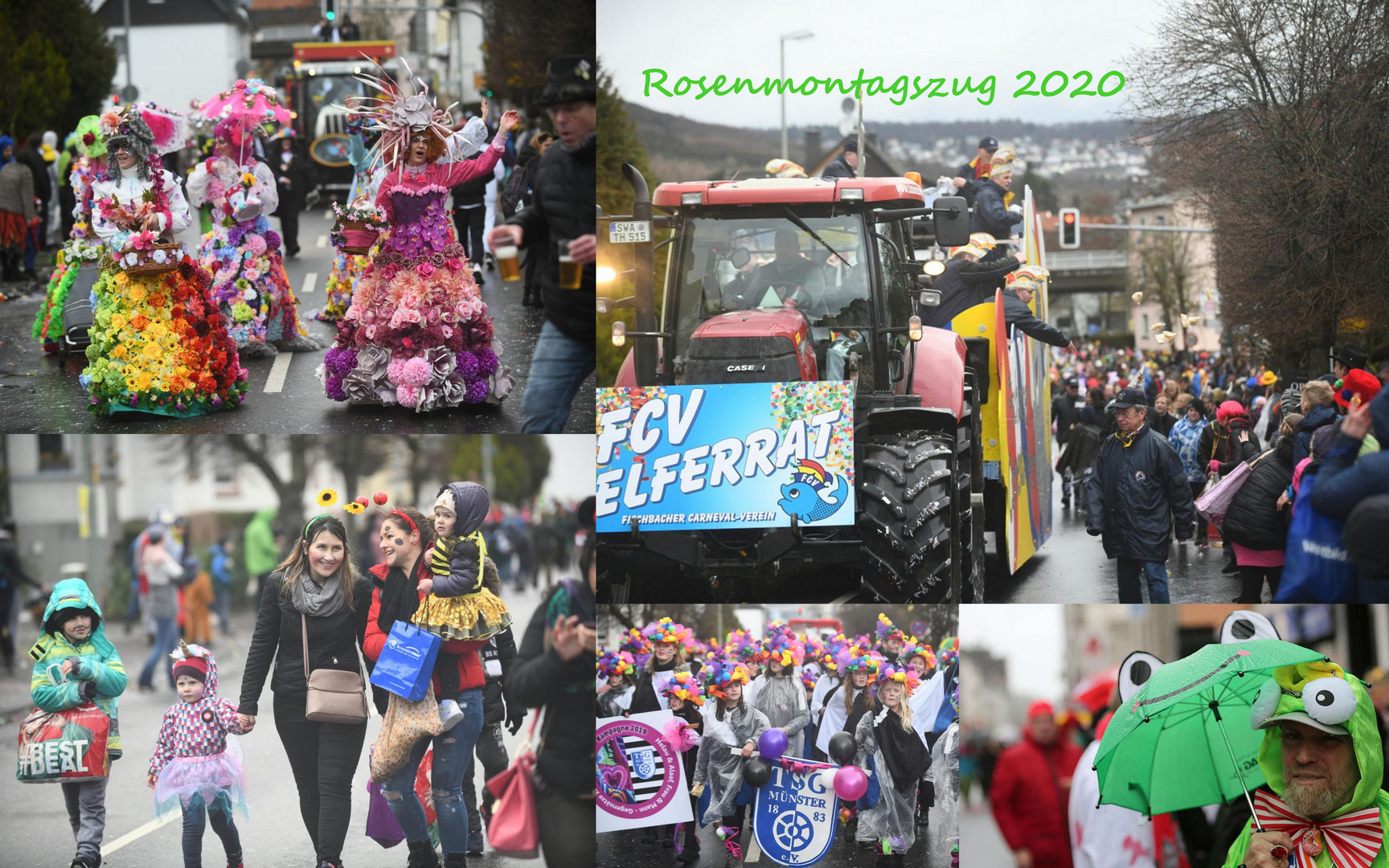 Rosenmontagszug im Taunus