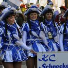 Rosenmontagszug in Mainz 2011 - Fastnacht ist schön 02