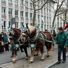 Rosenmontagszug - Mainzer Fastnacht 2024