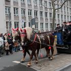 Rosenmontagszug - Mainzer Fastnacht 2024