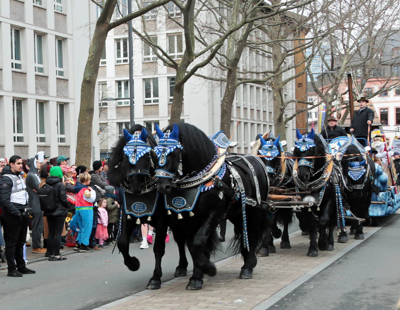 Rosenmontagszug - Mainzer Fastnacht 2024