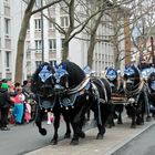 Rosenmontagszug - Mainzer Fastnacht 2024