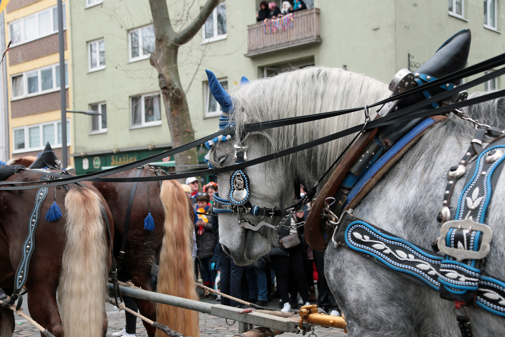 Rosenmontagszug - Mainzer Fastnacht 2024