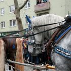 Rosenmontagszug - Mainzer Fastnacht 2024