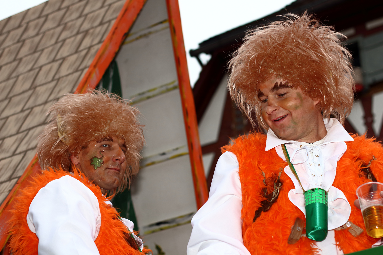 Rosenmontagszug Seligenstadt