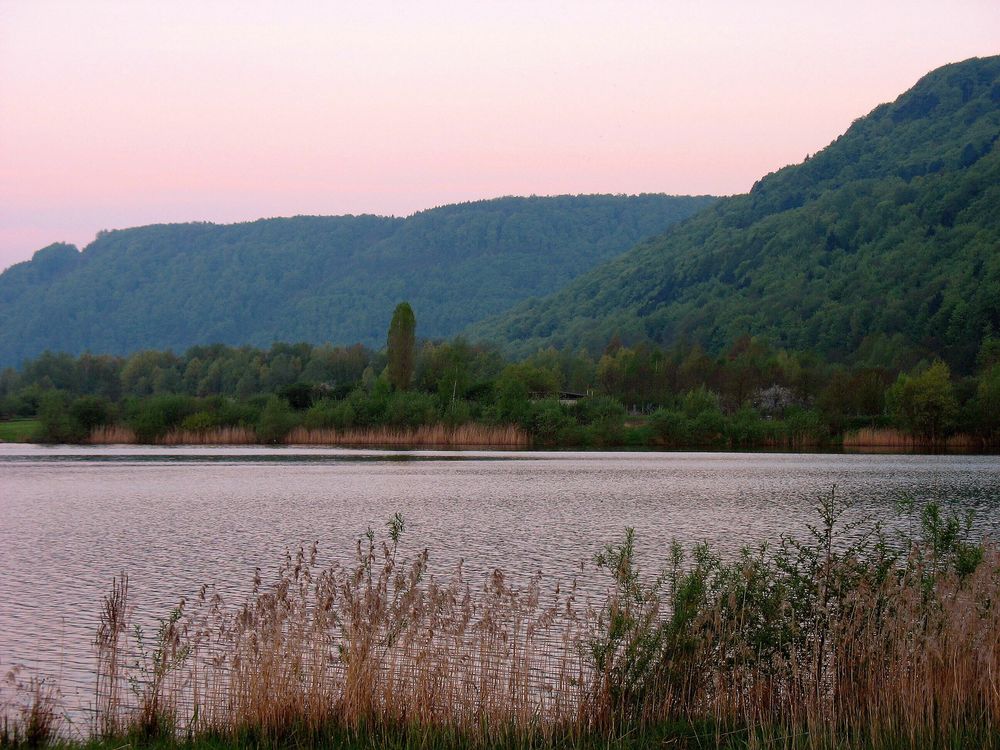 an den Godelheimer Teichen Foto & Bild landschaft, bach