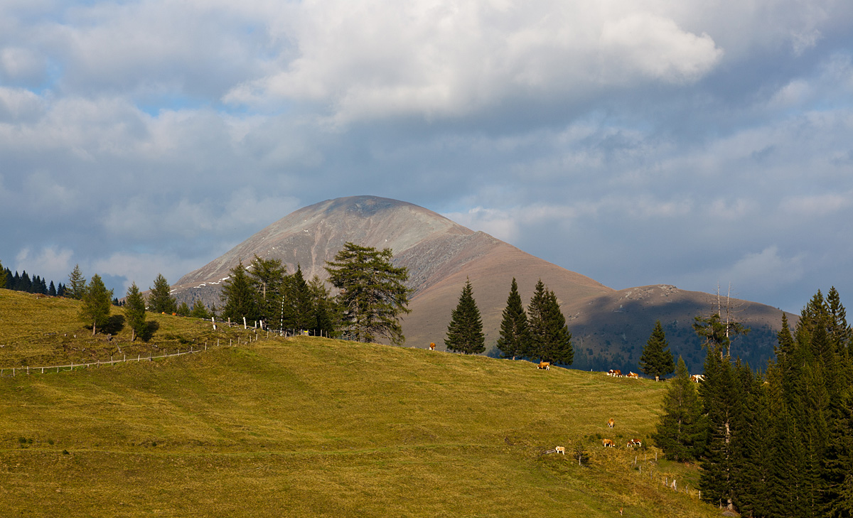 Rosennock im September