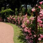 Rosenpark in Nancy