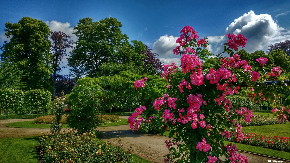 Rosenpark Mechelen