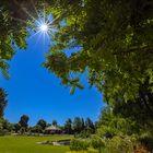 Rosenpavillon mit Sonnenstern