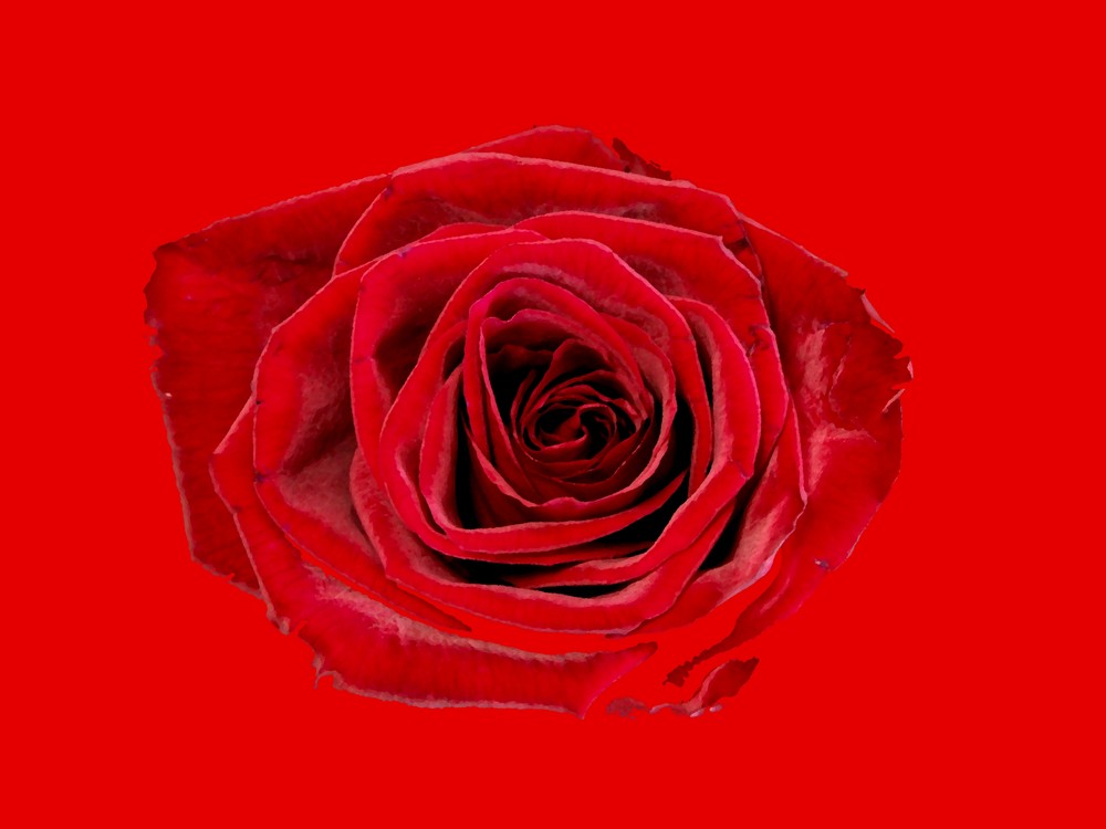 RosenRot 2