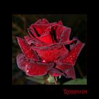 Rosenrot