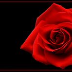 Rosenrot