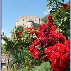 Rosenrot Kastelbell schloss // rose rosse al castello di Castelbello