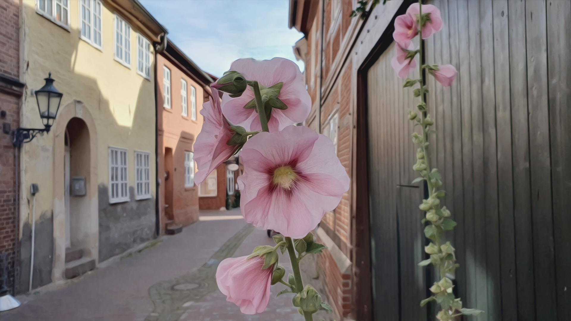 Rosenstadt Lüneburg ;-)