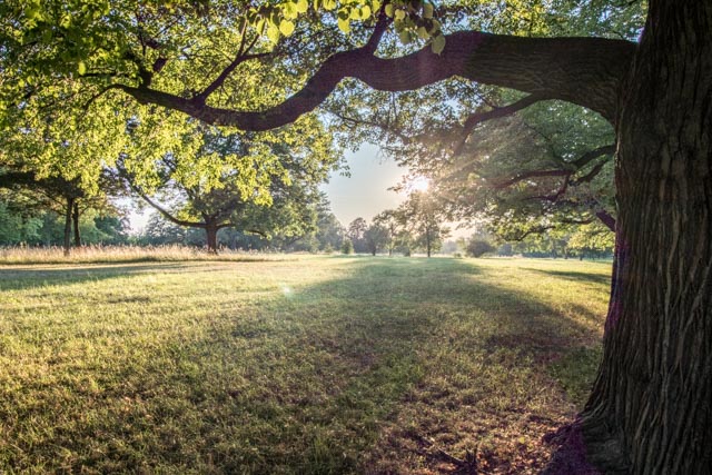 Rosenstein Park