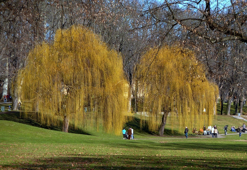 Rosensteinpark 1 Foto & Bild deutschland, europe, baden württemberg