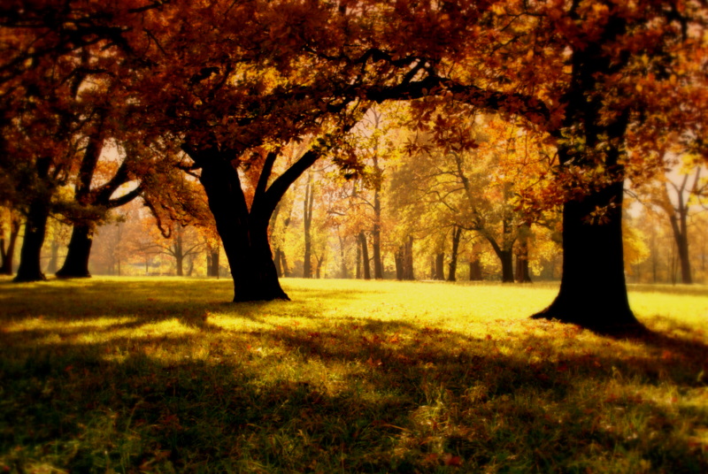 Rosensteinpark im Farbrausch