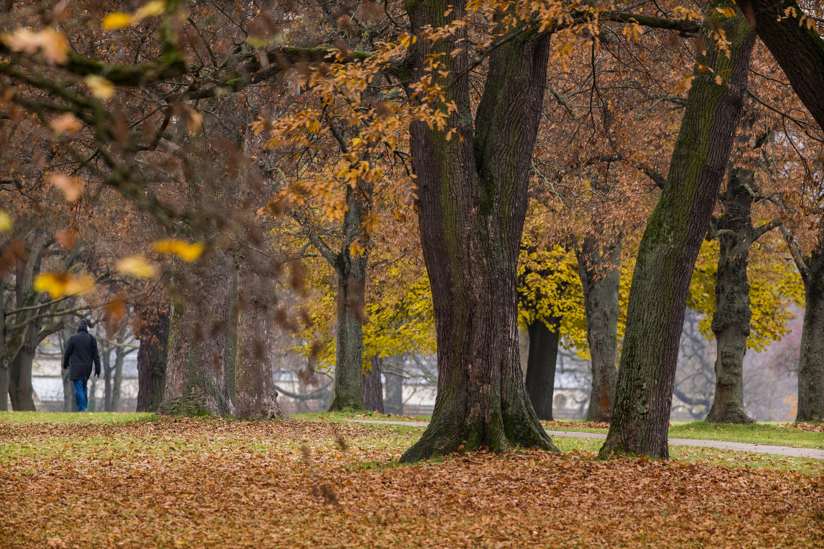 Rosensteinpark Stuttgart