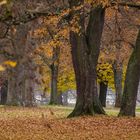 Rosensteinpark Stuttgart