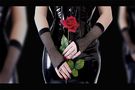 Rosenstolz - Aus Liebe zu Dir von dark rose ii