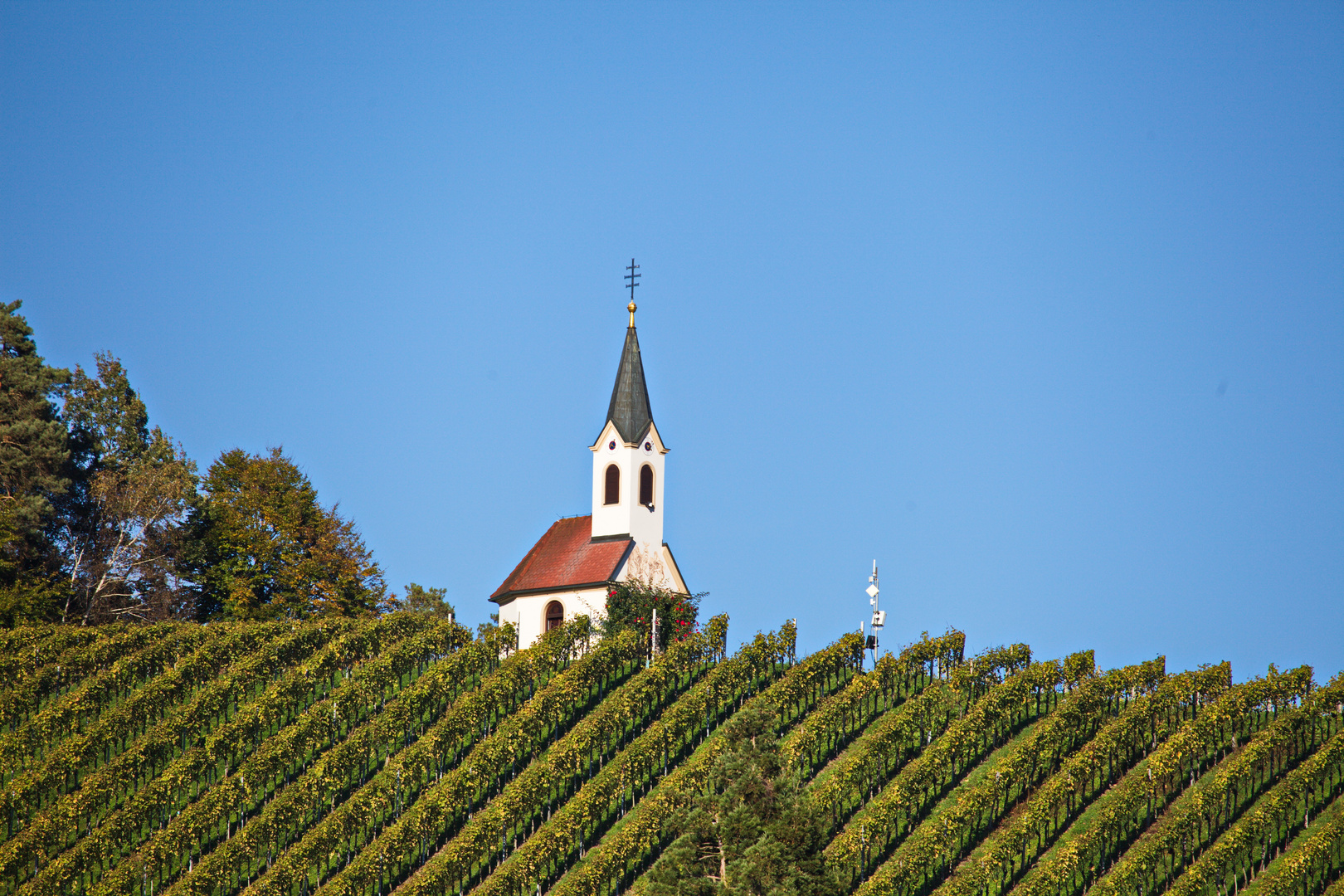 Rosental Kirchlein im Weingarten