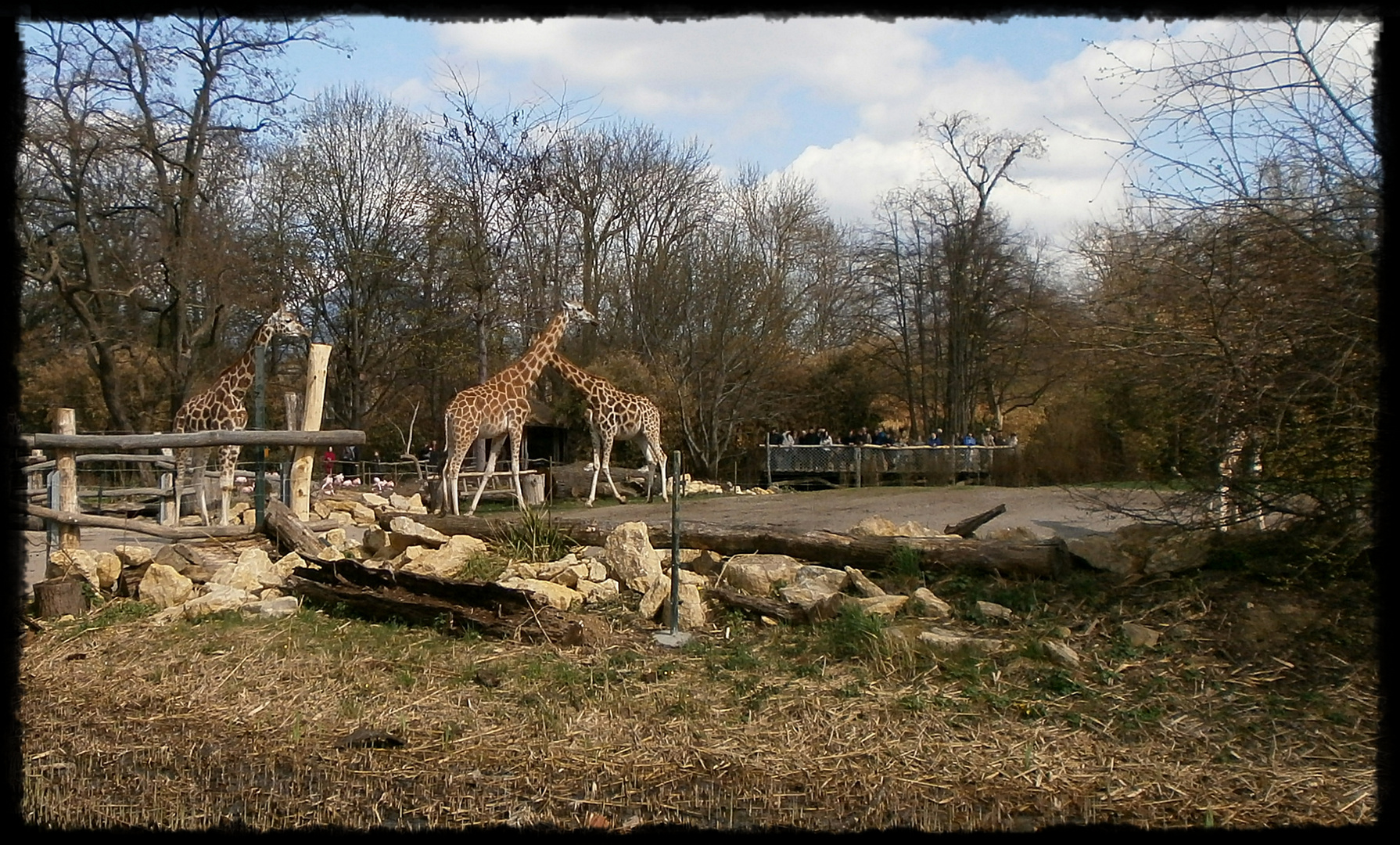 Rosental Leipzig mit Blick in den Zoo