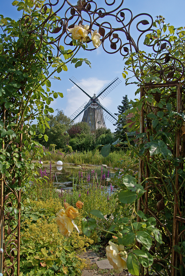 Rosentor im Mühlenpark in WYK