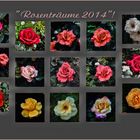 ......" Rosenträume 2014...."!