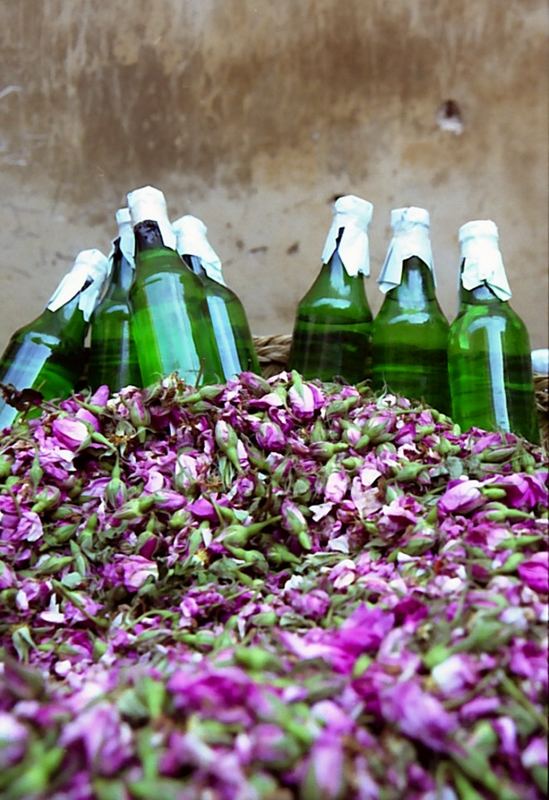 Rosenwasser auf dem Markt von Fés