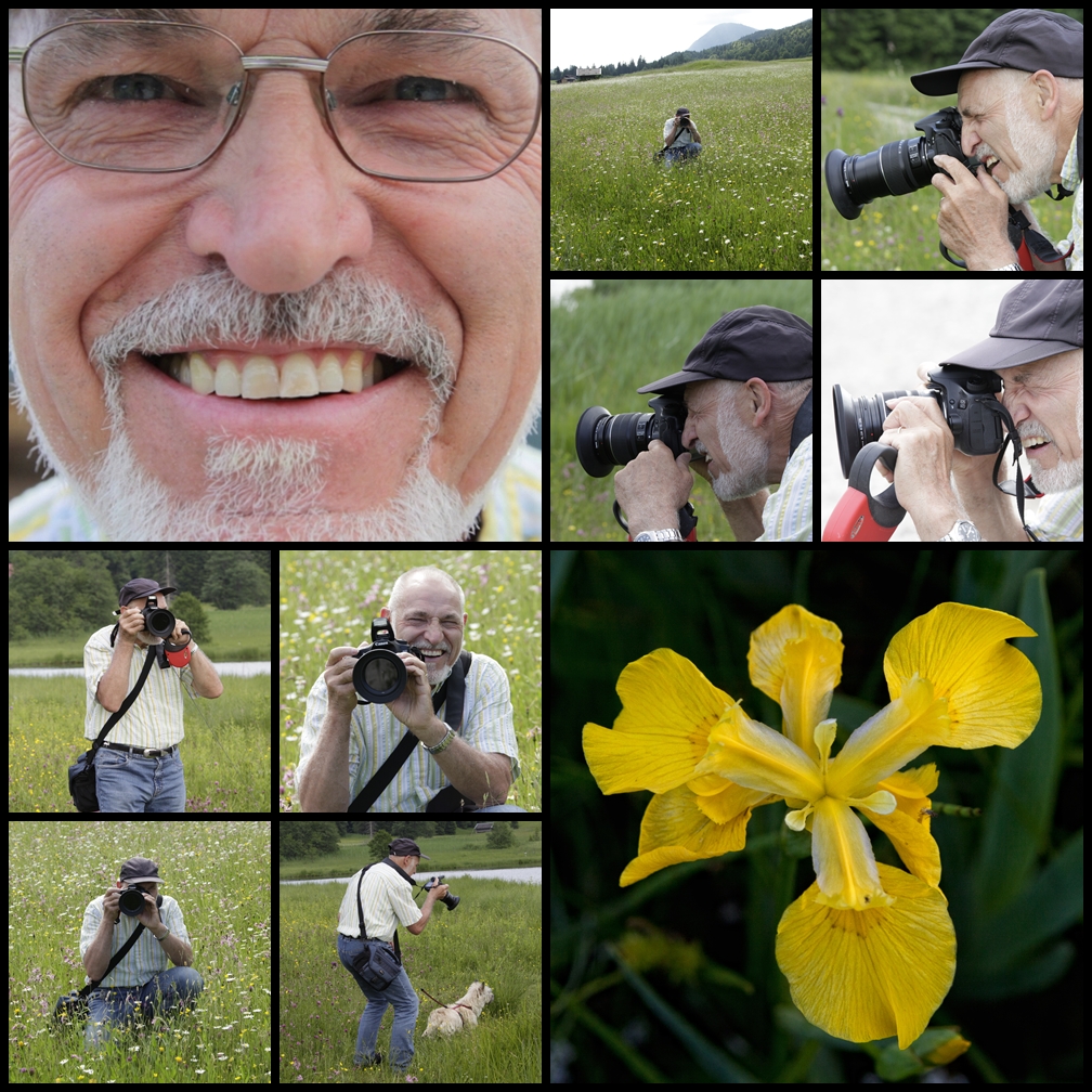 Rosenzweig und die Blümchen